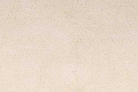 Фрагмент На берегу моря. 1905.