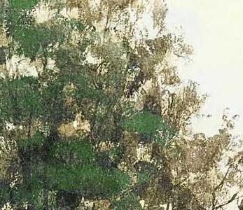 Фрагмент На озере