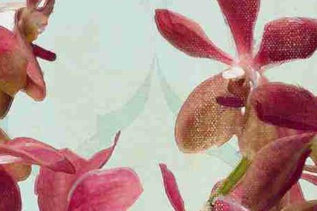 Фрагмент На салатовом комоде 1