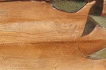 Фрагмент Натюрморт с оливами