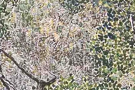 Фрагмент Нескучный сад.1910-е.