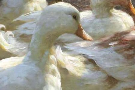 Фрагмент NEUN ENTEN AM WASSERLAUF