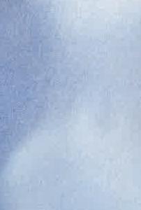 Фрагмент Nude