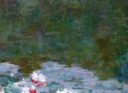 Фрагмент NYMPHEAS