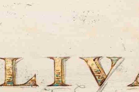 Фрагмент OLIVA