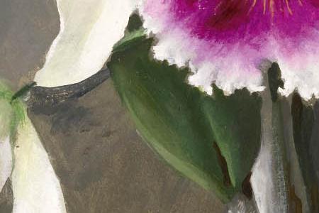 Фрагмент Орхидеи