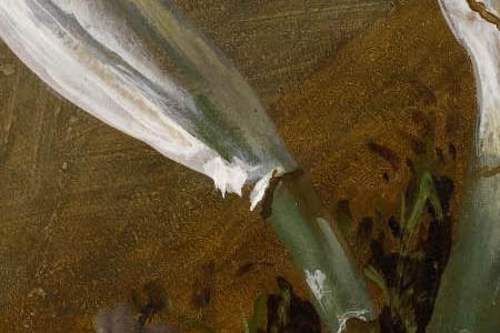 Фрагмент Орхидеи