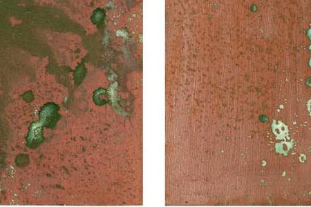 Фрагмент OXIDATION PAINTING DIPTYCH