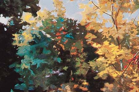 Фрагмент Озеро 1