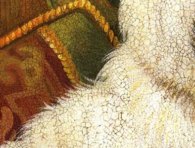 Фрагмент Pampered Westie