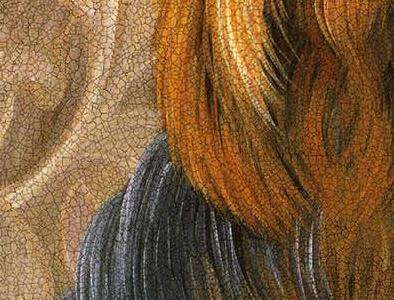 Фрагмент Pampered Yorki