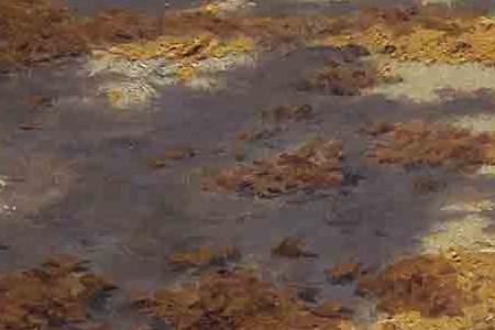 Фрагмент ПАРК ОСЕНЬЮ