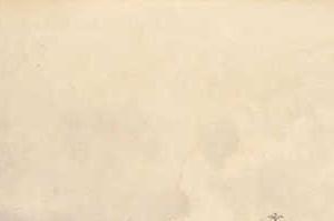 Фрагмент -parterre-im-schonbrunner-schlosspark Wien