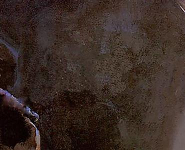 Фрагмент Pearlescent Diva