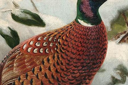 Фрагмент Pheasants in the snow