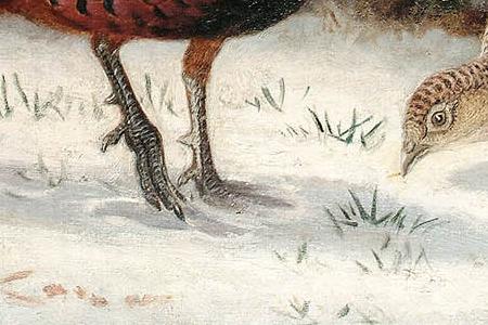 Фрагмент Pheasants in the snow
