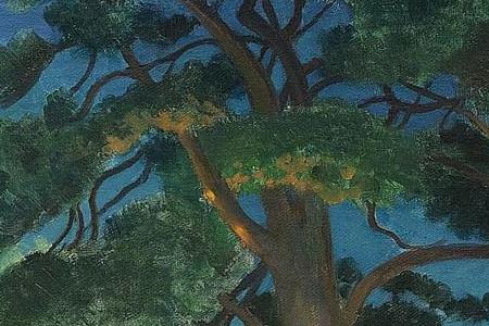 Фрагмент PICNIC