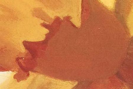 Фрагмент Picture 3165