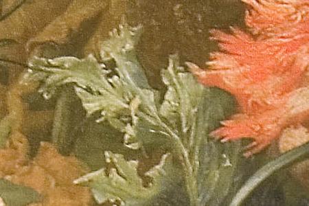 Фрагмент Picture 3197