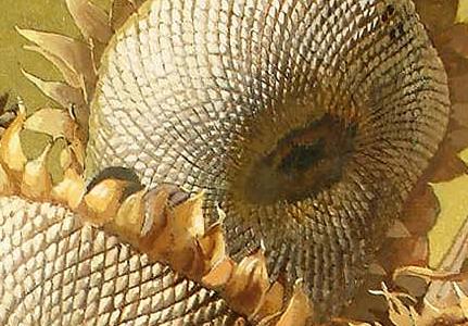 Фрагмент Picture 5372