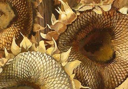 Фрагмент Picture 5372