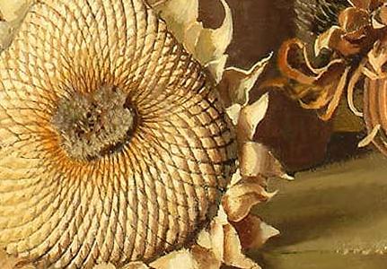 Фрагмент Picture 5372