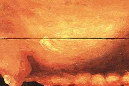 Фрагмент PIGS