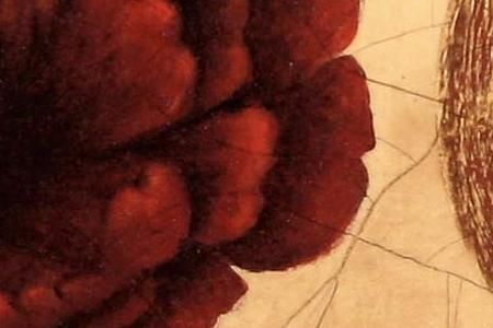 Фрагмент Pincushion Fresco