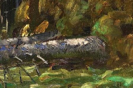 Фрагмент PINE FOREST