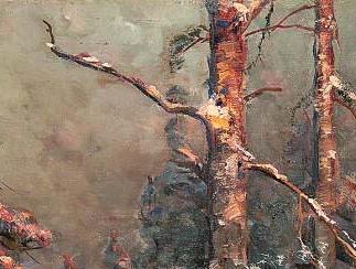 Фрагмент Pine forest