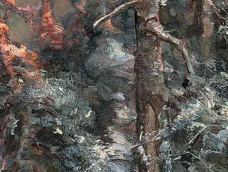 Фрагмент Pine forest