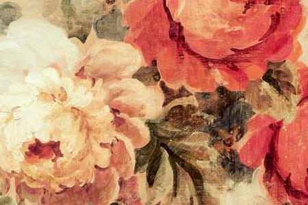 Фрагмент Пионы