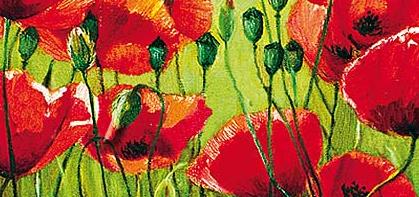 Фрагмент Поле Маковое