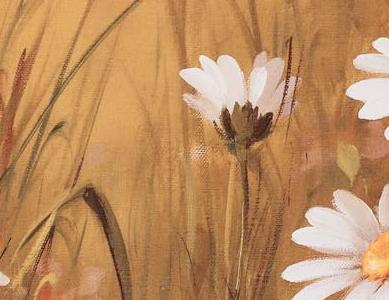 Фрагмент Поле с ромашками