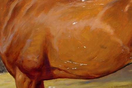 Фрагмент Portrait of a chesnut hunter