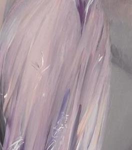 Фрагмент PORTRAIT-OF-MRS.-HOWARD-JOHNSTON