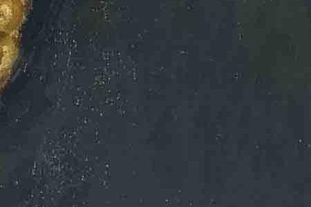 Фрагмент Портрет мадемуазель Эрны Кариз