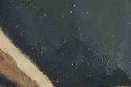 Фрагмент Портрет мадемуазель Эрны Кариз