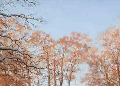 Фрагмент ПОСЛЕДНИЕ ЛУЧИ СОЛНЦА