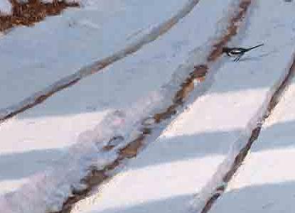 Фрагмент ПОСЛЕДНИЕ ЛУЧИ СОЛНЦА