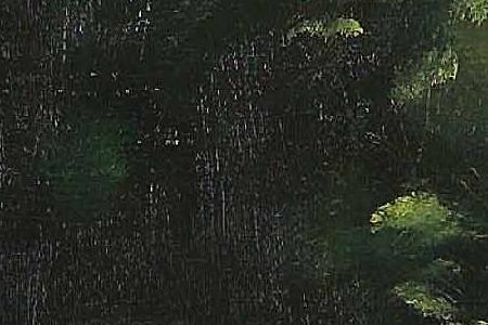 Фрагмент Princes St Gardens Edinburgh