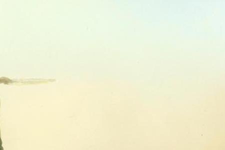 Фрагмент PRINTEMPS NECROPHILIQUE