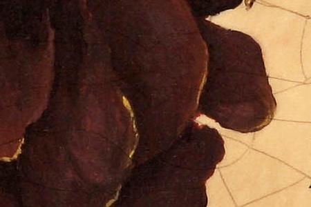 Фрагмент Puppy Fresco