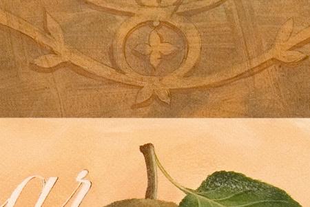 Фрагмент Pyrus Communis.