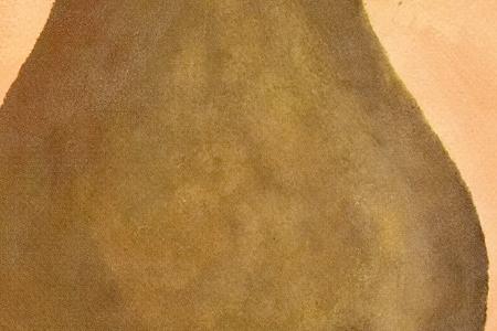 Фрагмент Pyrus Communis.