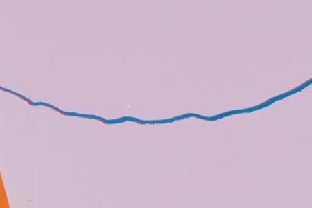 Фрагмент QUEEN BEATRIX