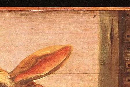 Фрагмент RABBITS