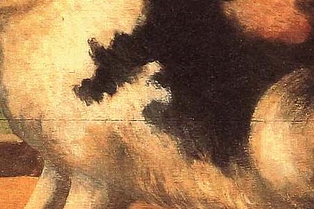 Фрагмент RABBITS