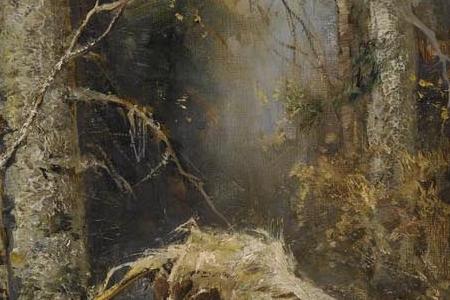 Фрагмент Ранее утро в зимнем лесу