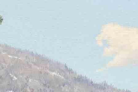 Фрагмент РАННЕЕ СОЛНЦЕ В ДОФИНЕ